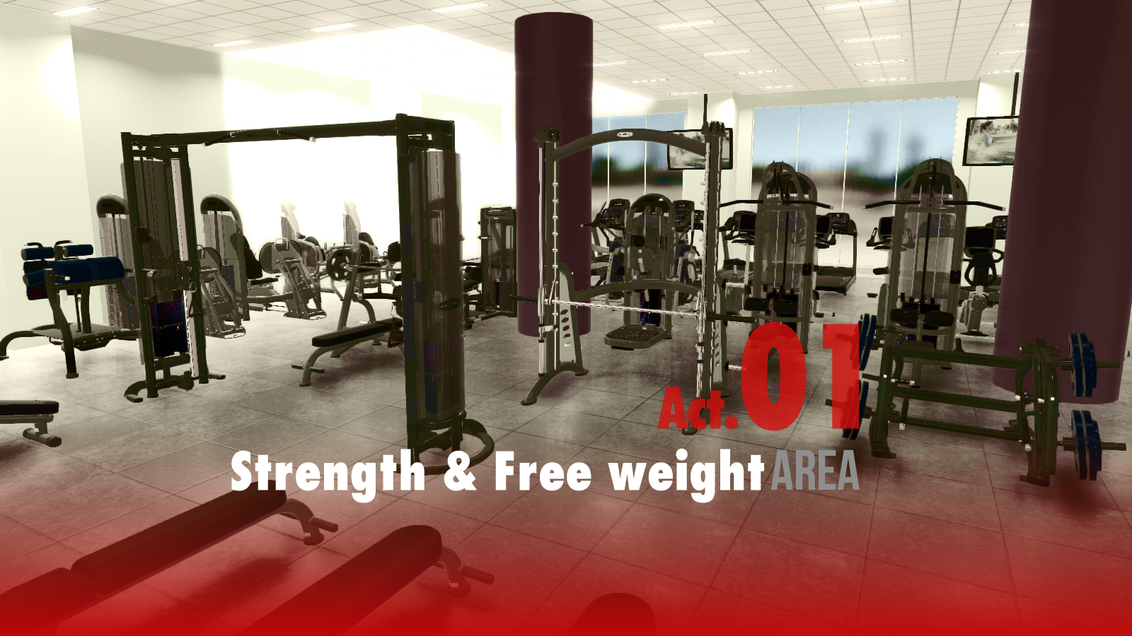 Strebgth & Free weight Area