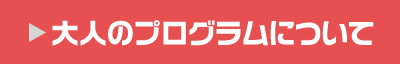 大人のプログラムについて