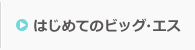 はじめてのビッグ・エス