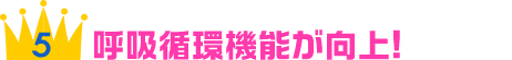 呼吸循環機能が向上!