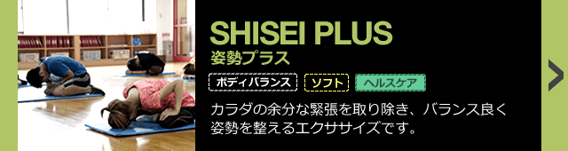 プログラム 姿勢 スポーツクラブ ビッグ エスくずは