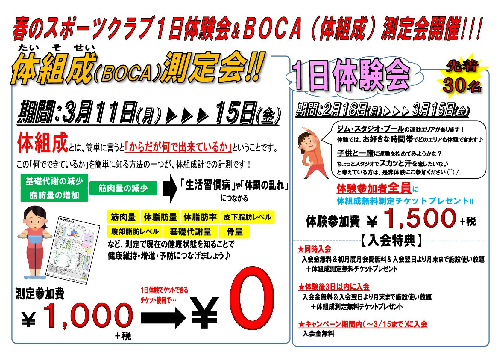 クラブ体験実施中 アミスポーツクラブ