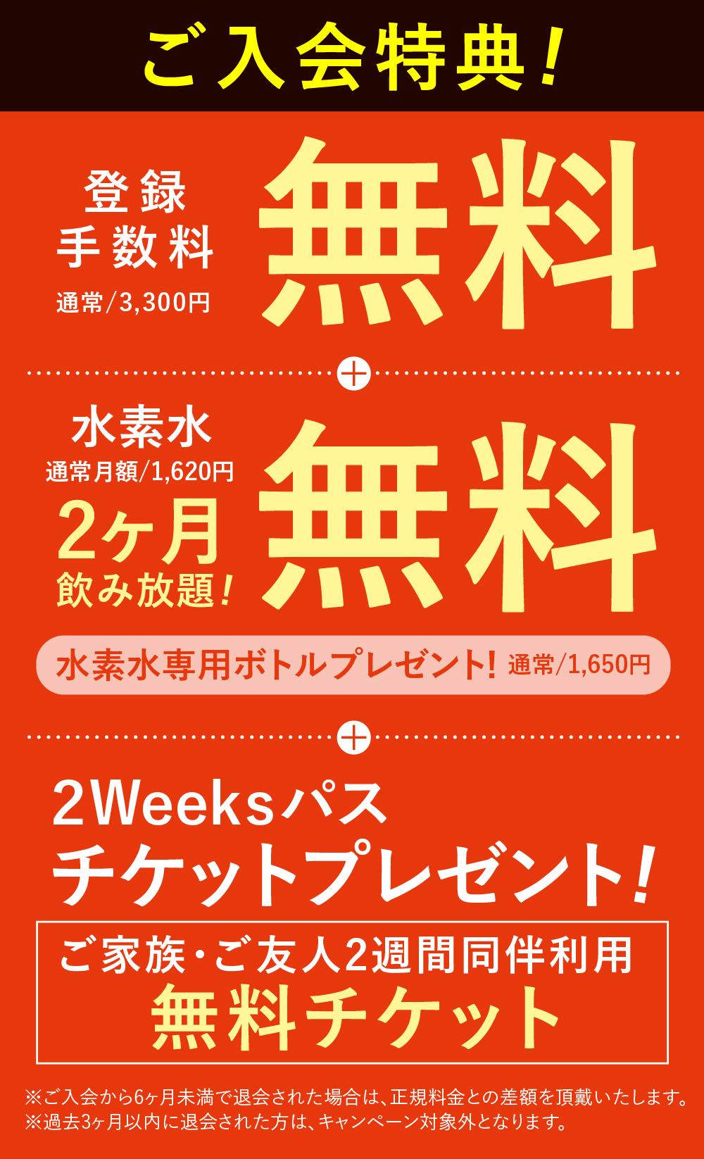 ビッグエスくずは お得な入会キャンペーン実施中 スポーツジム 枚方市樟葉駅徒歩5分 姿勢 スポーツクラブ ビッグ エスくずは ビッグエスくずは お得な入会キャンペーン実施中 スポーツジム 枚方市樟葉駅徒歩5分 姿勢 スポーツクラブ ビッグ エスくずは