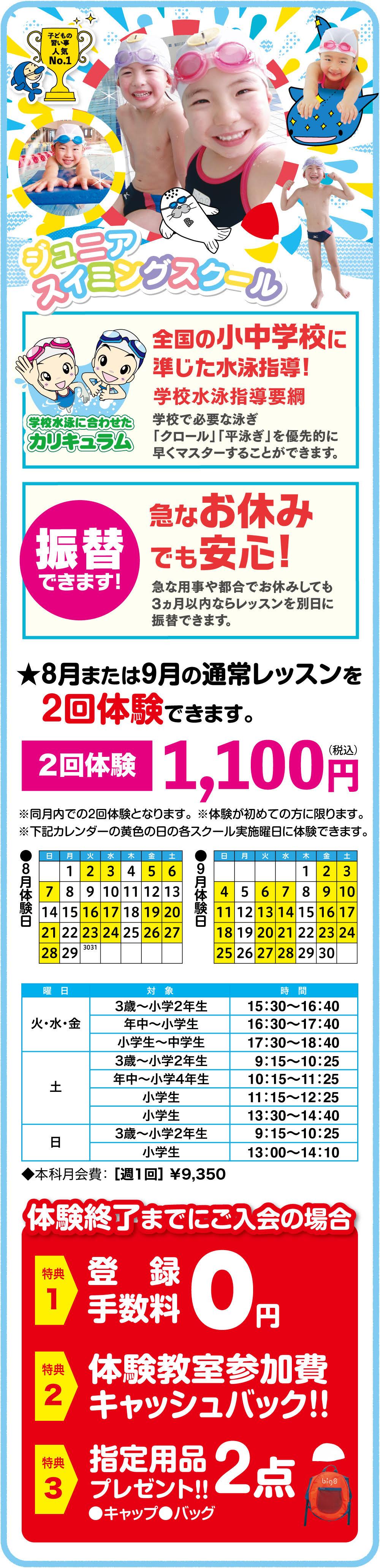 秋の体験教室受付中 スイミングスクール 体育スクール他 枚方市樟葉のビッグエスくずは 姿勢 スポーツクラブ ビッグ エスくずは