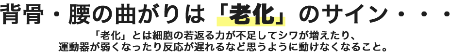 背骨・腰の曲がりは老化のサイン