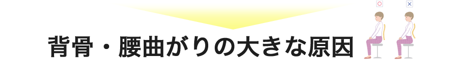 背骨・腰曲りの大きな原因