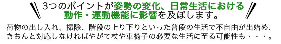 各々が複合的に影響し合い、姿勢の変化を引き起こします