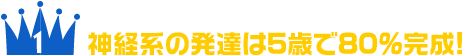 神経系の発達は5歳で80％完成