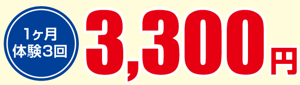 3日間3300円