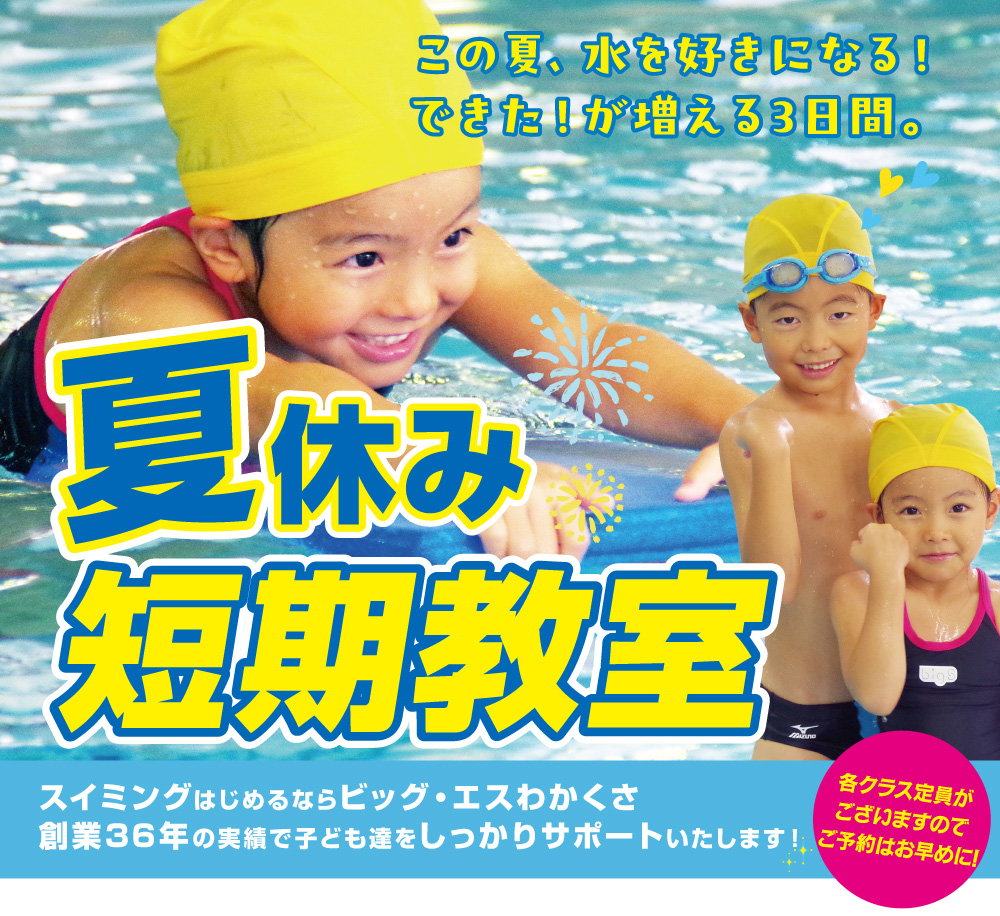 夏の水泳教室